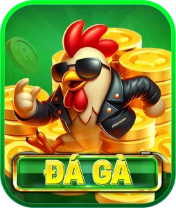 Đá gà Go8 - Trải nhiệm sảnh gà Thomo uy tín